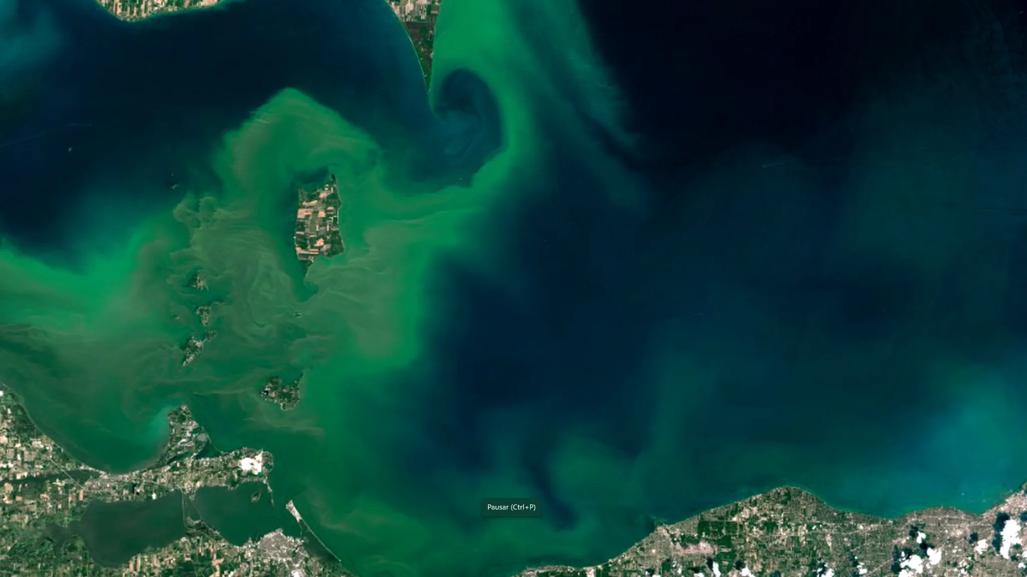 Aerial view of Florida's coastal waters showing cyanobacteria bloom
